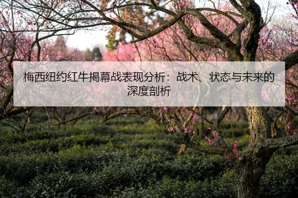 梅西纽约红牛揭幕战表现分析：战术、状态与未来的深度剖析